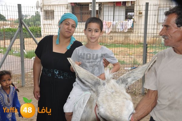 kidrawdaanimals510 (13).JPG